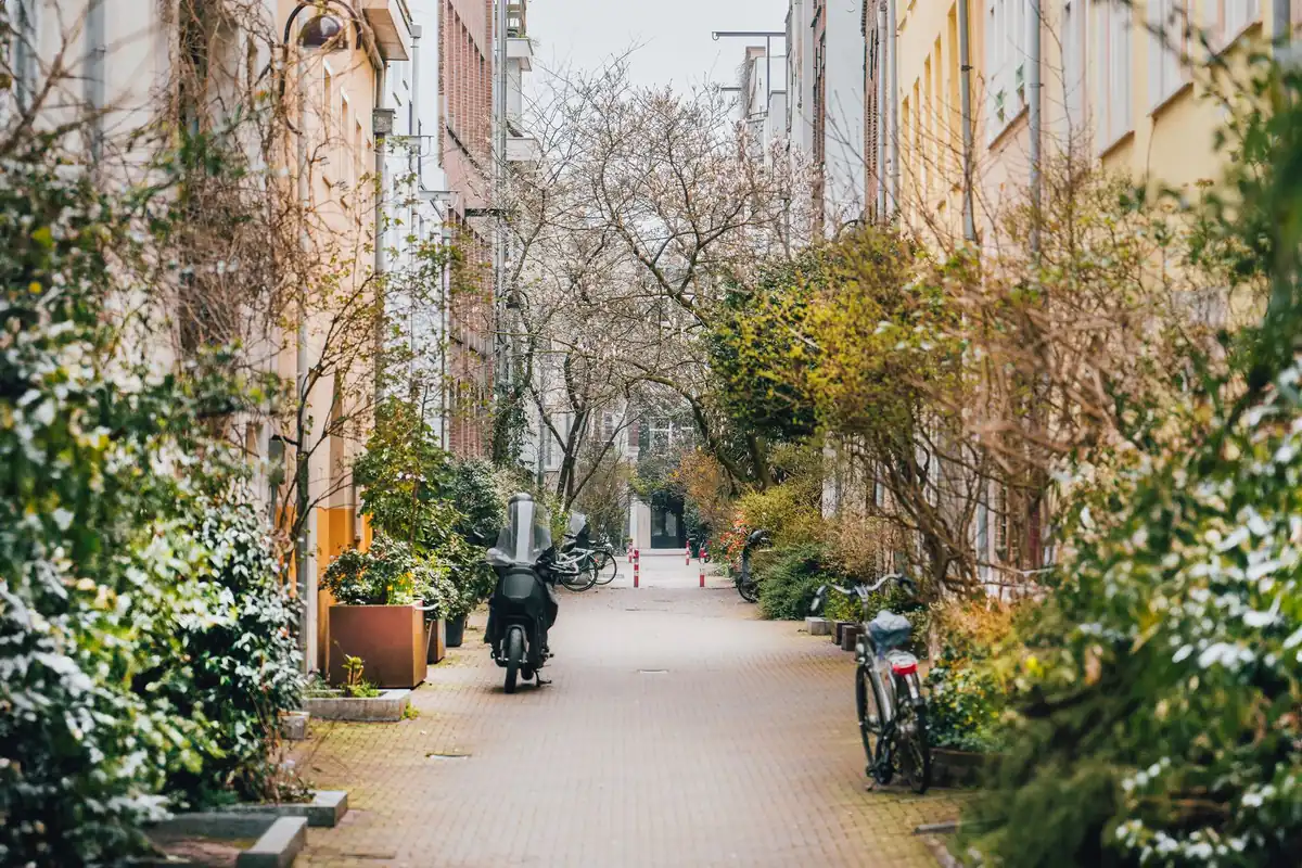 Eine ruhige gepflasterte Wohnstraße führt zwischen Bäumen und Vorgärten entlang