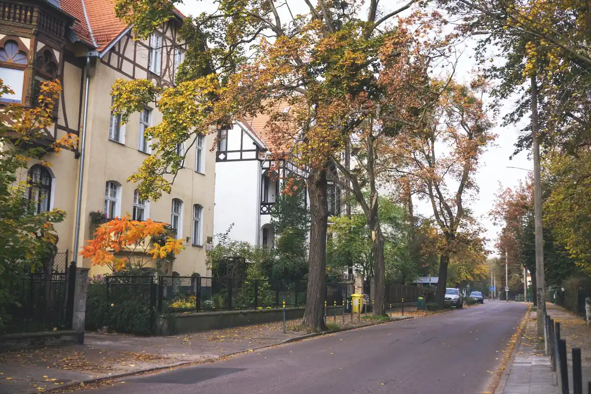 Eine baumbestandene Wohnstraße verläuft an niedrigen Häusern vorbei